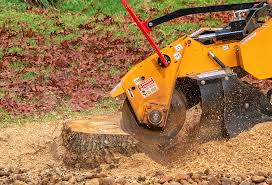 Best Stump Grinding and Removal  in Woodcrest, CA